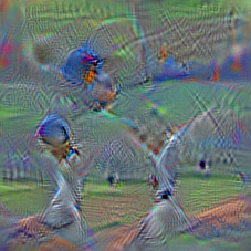 n09835506